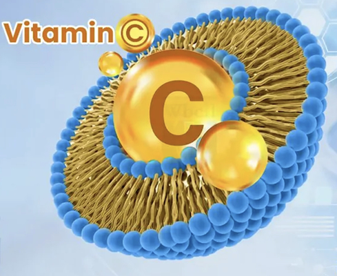 comprar Vitamina C lipossômica com maior biodisponibilidade para bebidas sólidas em pó e líquido Fabricação em linha